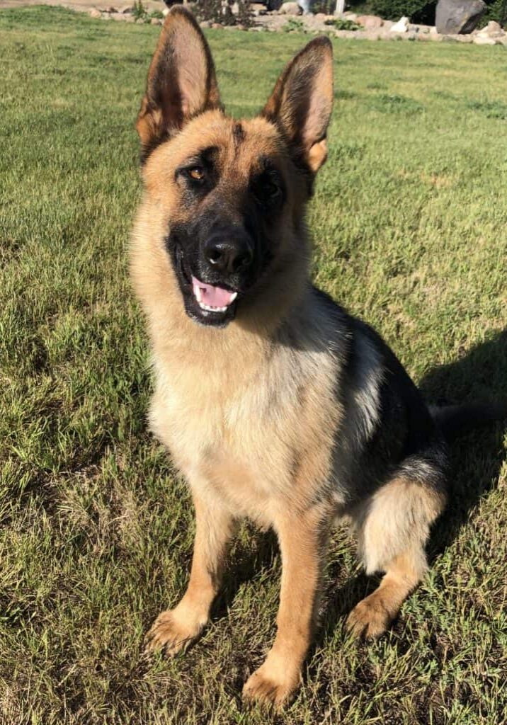 Vada Von Northern Sky